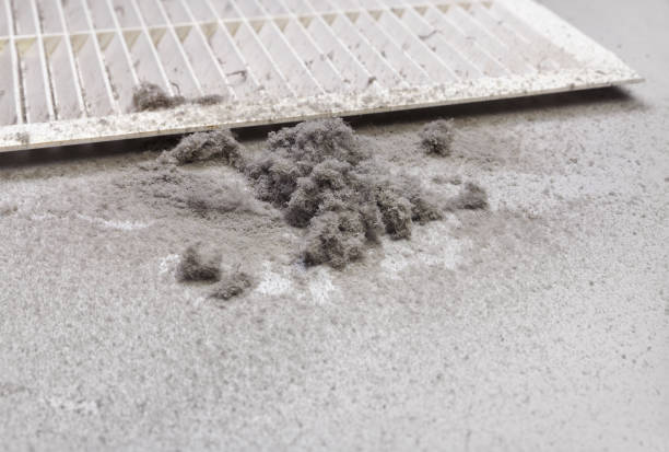 Best Professional Duct Cleaning Services  in Springboro, OH